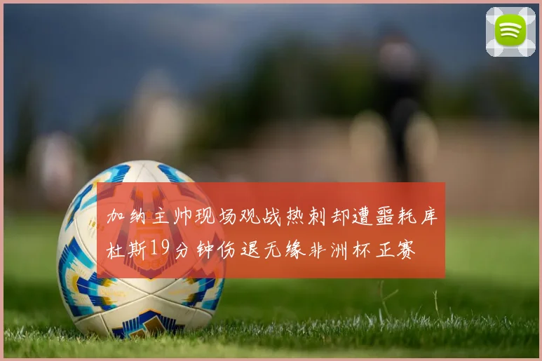 加纳主帅现场观战热刺却遭噩耗库杜斯19分钟伤退无缘非洲杯正赛